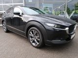 Mazda CX-30 Edition 100*Sondermodell mit Vollausstattu - Mazda: 10