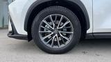 Lexus NX 350h 350h Executive Line - gebrauchte Lexus NX 350h aus dem Jahr 2024