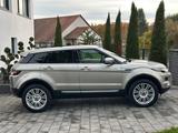 Land Rover Range Rover Evoque Prestige TD4 *1.Hd*45TKM* - Land Rover Behindertengerecht