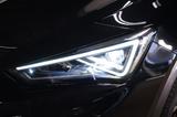 Cupra Formentor 2.0 TDI 4Drive DSG*AHK*Matrix*Keyless* - Cupra: Geländewagen