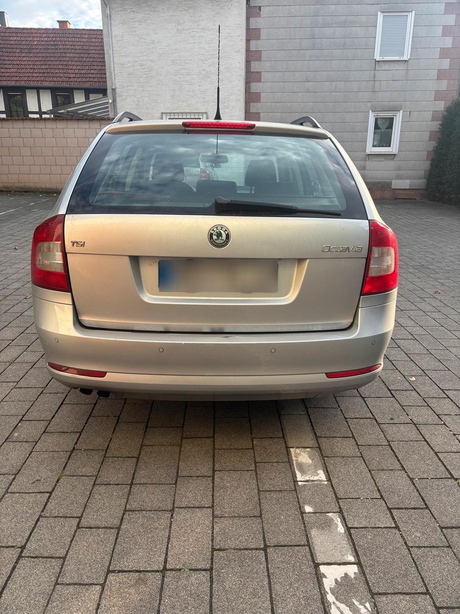 Skoda Octavia 2009 — photo 10
