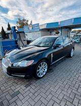Jaguar XF 2.7 V6 Diesel  TÜV bis 2027 - Jaguar XF: 2.7