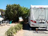 Dethleffs Globebus GT-T7 - Dethleffs Globebus
