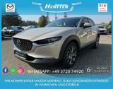 Mazda CX-30 X 186PS EXCLUSIVE-L MATRIX BOSE E-HECKKL S