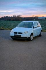 Volkswagen VW Lupo 1.4 College  nur 41.000 km, 1. Ha... - Volkswagen Lupo College mit Benzin-Antrieb
