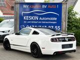 Ford Mustang 5,0 GT CS*XENON*LEDER*ALU*SUPER OPTIK* - Ford Mustang: Cs