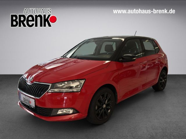 Skoda Fabia 1.0 TSI DSG Style *SHZ/RFK/PDC/App*