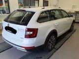 Skoda Octavia Combi Scout *AHK*NAVI*KAMERA* *AHK*NAVI* - Skoda: Combi Scout