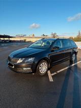 Skoda Octavia 1.0 TSI Active Combi Active - Skoda Octavia Active mit Benzin-Antrieb