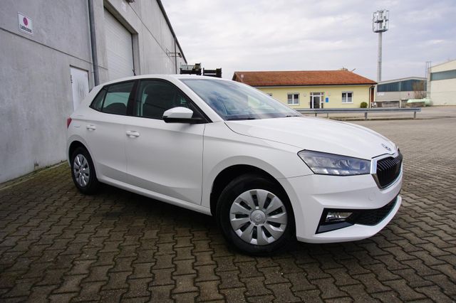 Skoda Fabia 1.0TSI Selection SHZ PDC Freisprech Tempom