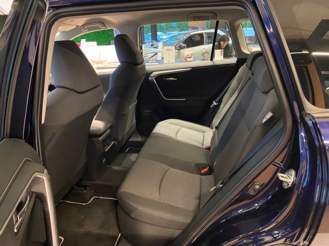 RAV 4 RAV4 Hybrid 4x2 Team D*Technik Paket*