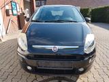 Fiat Punto*Navi*KLIMA*TÜV NEU * - Fiat Punto: Schwarz