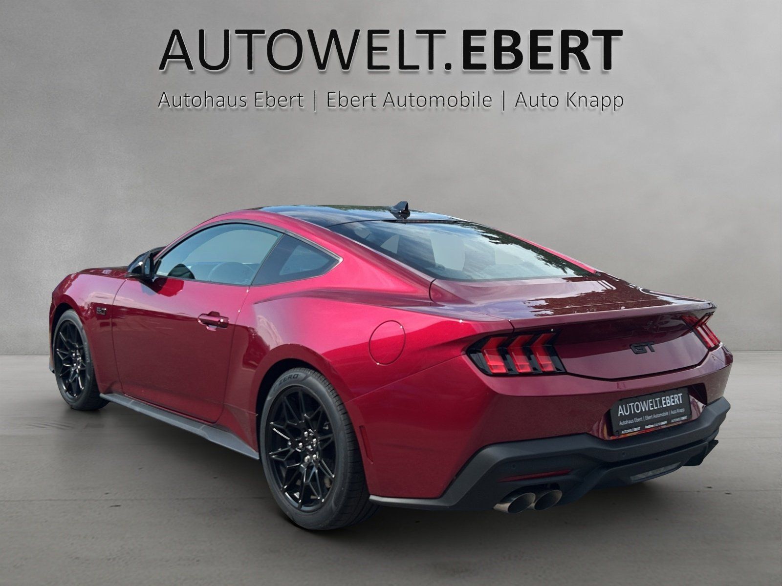Fahrzeugabbildung Ford Mustang Fastback GT Nite Pony Paket MagneRide