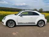 Volkswagen Beetle/Käfer letztes Modell 220 PS Leder S... - Volkswagen Beetle in München