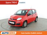 Fiat Panda 1.2 Easy *PDC*KLIMA*GARANTIE*1.HAND* - Fiat Panda: Rot