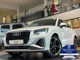 Audi Q2 35 TFSI S-line Klimaauto. Shzg DSP 19"-Rotor