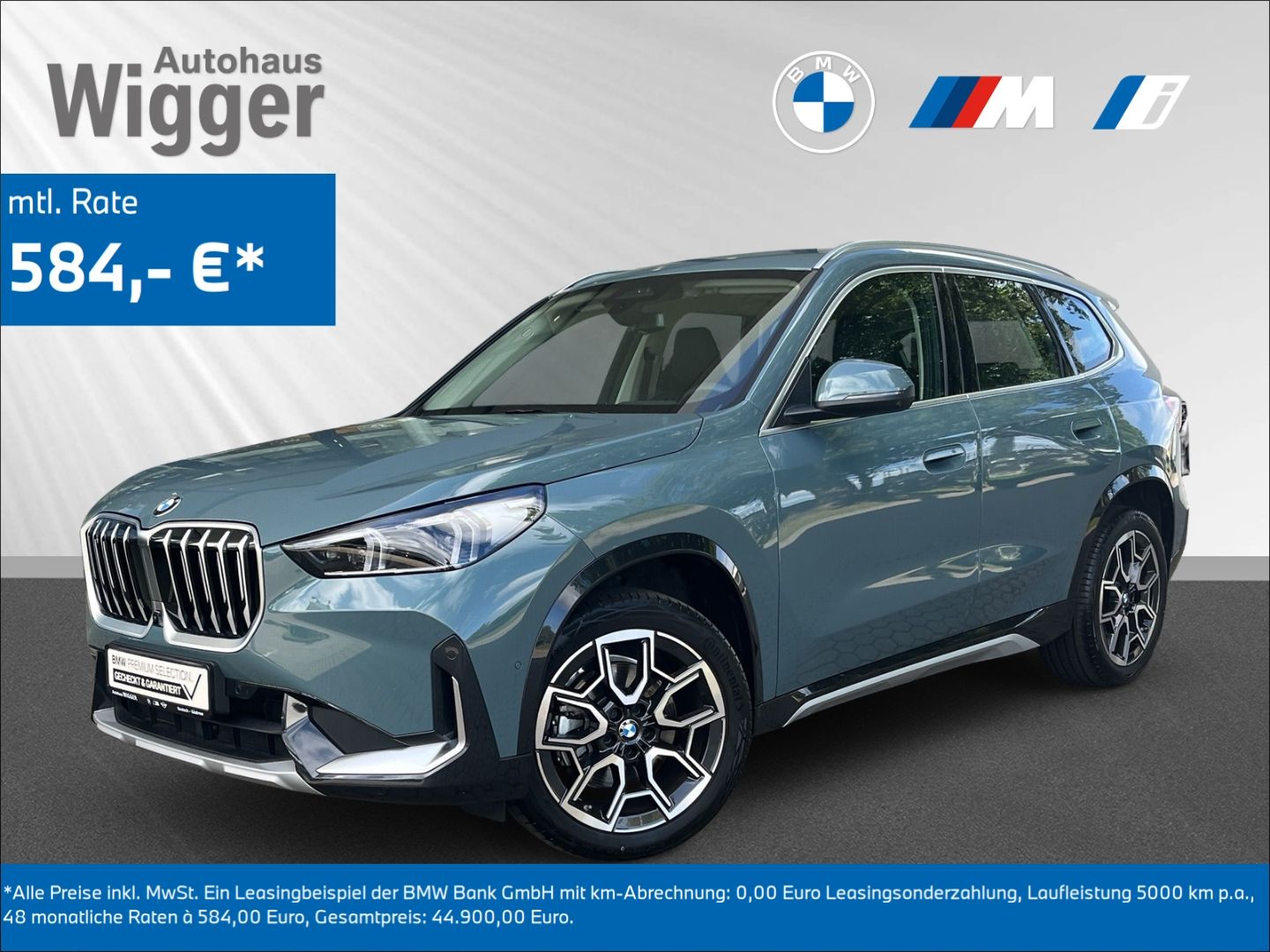 BMW X1 sDrive 20i xLine HUD Navigation HarmanKardon foto 1