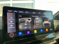 CUPRA Formentor 2.0 TSI DSG 4Drive VZ 2.HD AHK 8-FACH bei Autohaus Landmann & Maier OHG