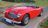 Austin Healey 3000 MKI (BN7) - Austin Healey Oldtimer