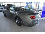 Ford Mustang 5.0 Ti-VCT V8 Dark Horse Fastback Recaro - Ford Mustang: 5.0
