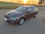 Skoda Octavia 2.0 TDI Green tec Elegance Combi Ele... - Skoda Octavia: Combi Elegance TDI