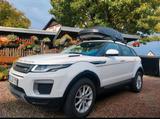 Andere Winterpreis Range Rover Evoque TÜV Neu Sch... - Andere mit Diesel-Antrieb