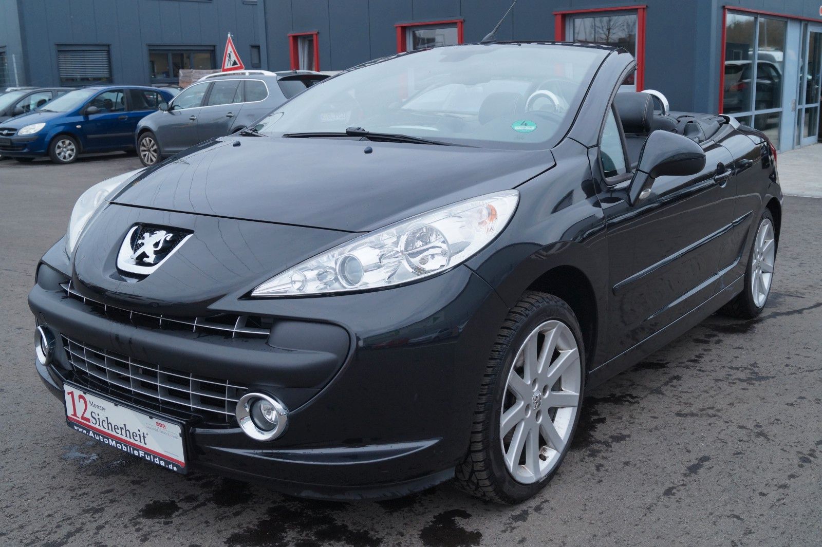 Fahrzeugabbildung Peugeot 207 CC Cabrio-Coupe Roland Garros