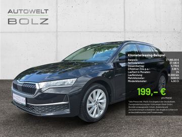Skoda Leasingangebot: Skoda Octavia 2.0 TDI Selection SHZ ACC LED NAVI AHK