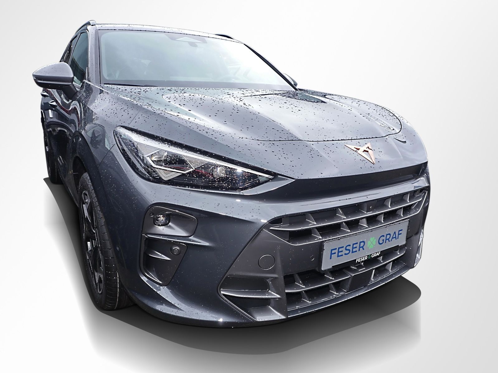 Cupra Terramar - Bild 4