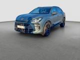 Cupra Terramar TSI 195 KW 4Drive DSG Am Cup AHK Akebon