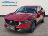 Mazda CX-30 CX-30 e-SKYACTIVE X 186 AWD Aut. EXCLUSIVE