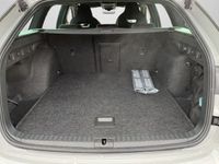 Skoda Octavia - Vorschau Bild 16