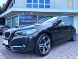 BMW 2 Cabrio 218 i Bi-Xenon Navi Leder Alu Pdc Euro6 - BMW 218: I