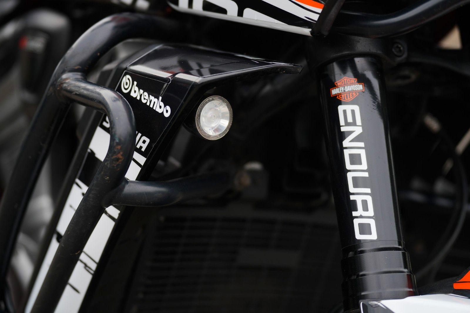 Fahrzeugabbildung Harley-Davidson RA1250S Pan America Special - Custom Folierung