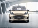 Smart smart EQ fortwo cabrio smart EQ fortwo cabrio Ex - Smart ForTwo aus 2024