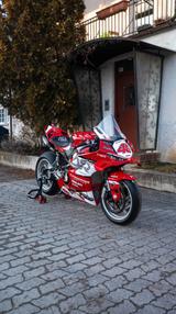 Ducati Panigale V4 - 2025 Racing