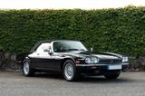 Jaguar XJS V12 Cabrio Classic Collection | Topzustand - Jaguar: V12