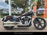 Harley-Davidson FXST Softail Standard 2021 - HARLEY-DAVIDSON SOFTAIL STANDARD FXST