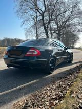 Mercedes-Benz CLK 500  - Mercedes-Benz CLK 500: Coupe