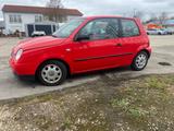 Volkswagen VW Lupo 1.4 16V Klima Top Zustand. - Volkswagen Lupo: 16v