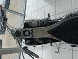 Harley-Davidson FXST Softail Custom - Offers