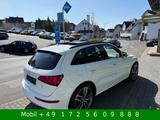 Audi SQ5 3.0 TDI q 4x4 Bi-Xenon Kamera Pano B&O AHK - Audi SQ5 in Kassel