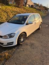Volkswagen Golf 1.6 TDI 4MOTION BMT Trendline Trendline - Volkswagen Golf: TDI 4motion