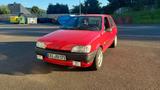 Ford Fiesta Mk3 1.1i 4-Türer GFJ - Ford Fiesta: Gfj