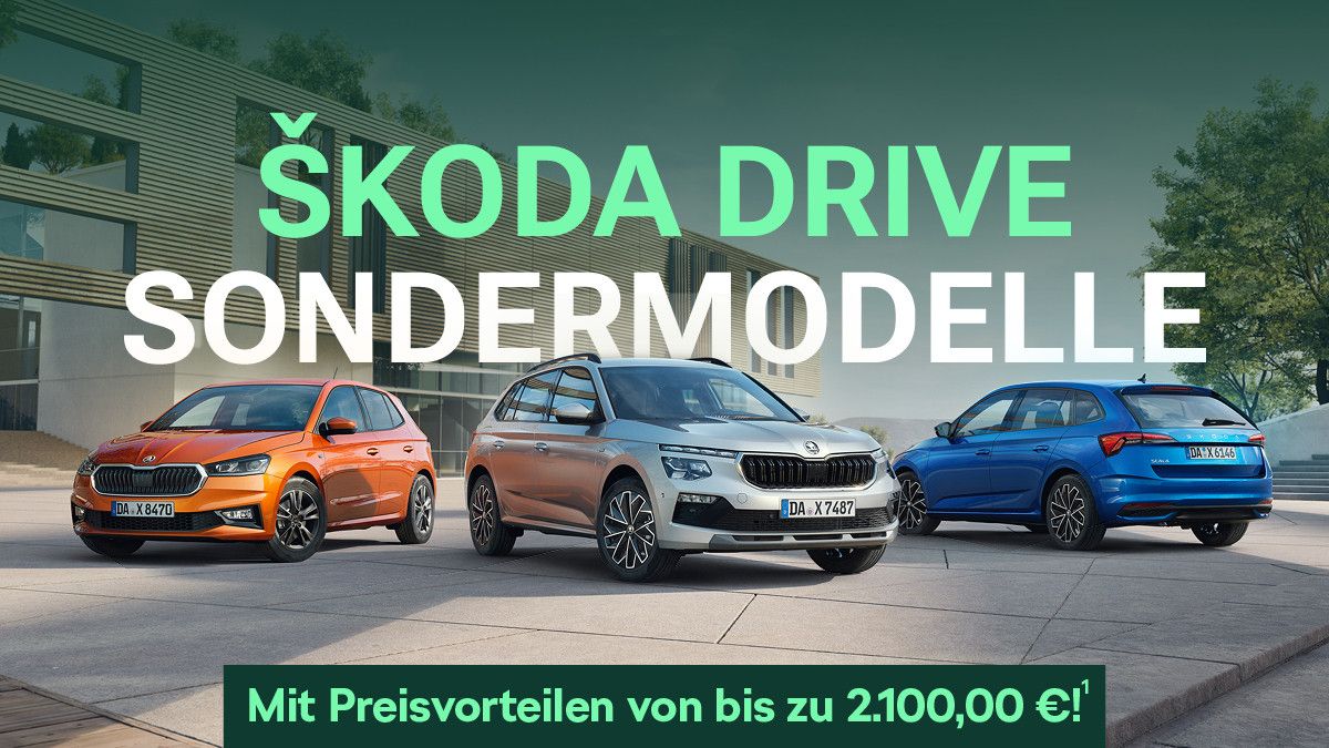 Fabia Drive Kamera ACC 16" Alu PDC Sitzheizung