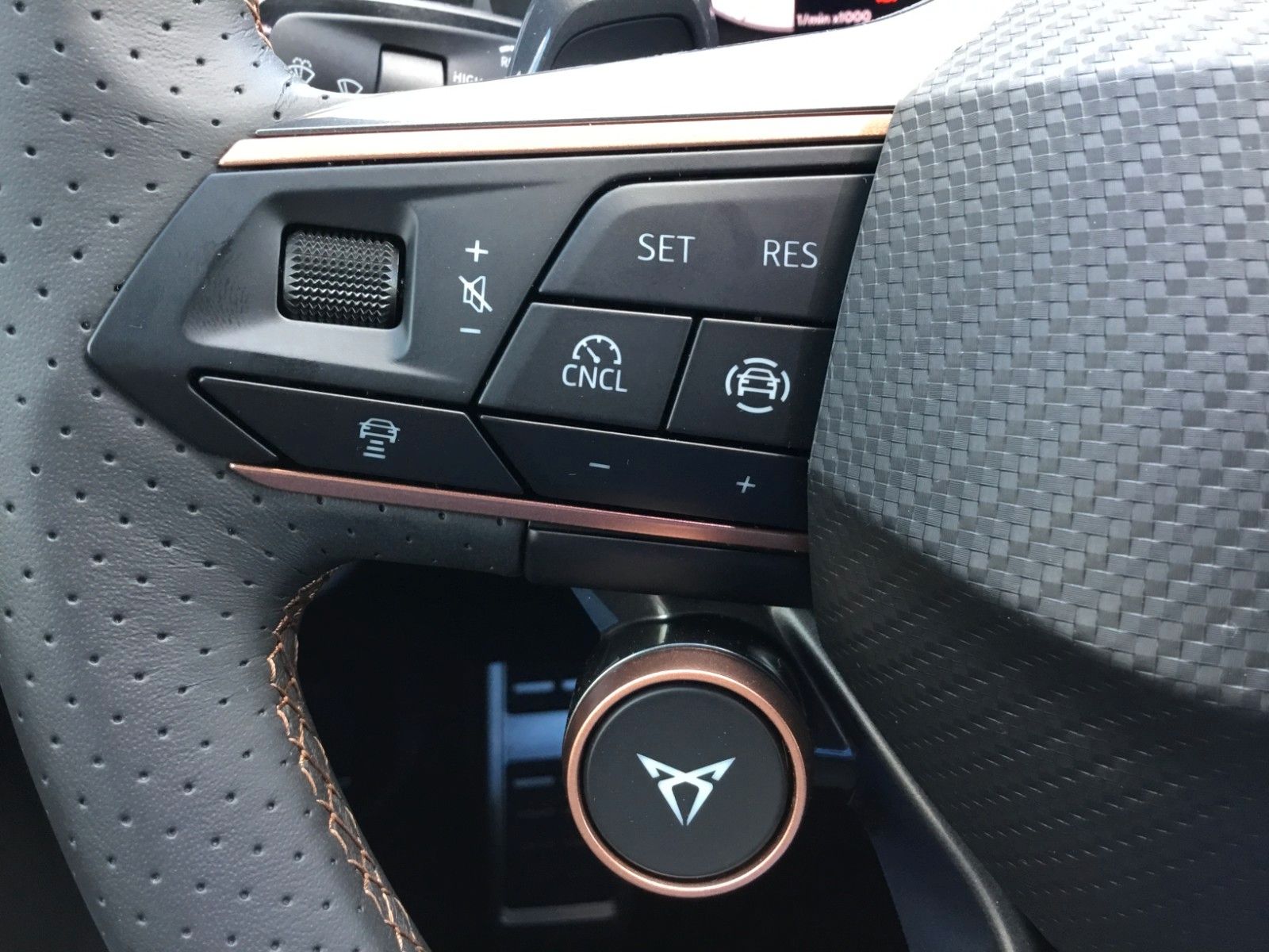 Fahrzeugabbildung CUPRA Terramar 2.0 TSI DSG 4Drive+Matrix+AHK+Pano+360°