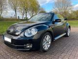 Volkswagen New Beetle Cabrio 1.6 TDI  VW T... - Volkswagen New Beetle aus 2013