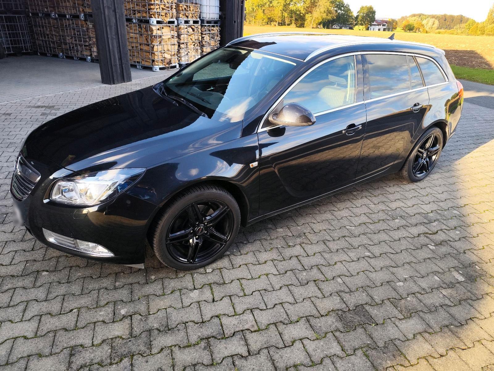 Opel Insignia 2013 — rear view