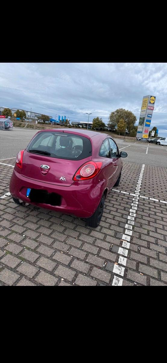 Ford Andere