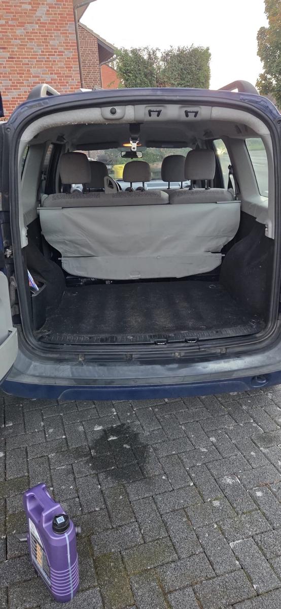 Dacia Logan 2008 — photo 11